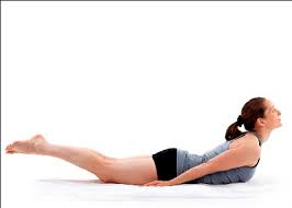 Shalabhasana (Locust Posture) Yoga Posture  Diabetics