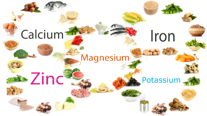 Why is potassium essential for the human body?